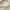 Nike Streetwear Sportswear T-shirt Pria white photo 3
