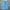 Adidas Sportswear Jersey Pria Blue