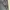 Lee Vintage Denim jacket Pria gray photo 7