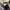 Dior Vintage Bags & purse Wanita white black photo 6