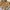 Vintage Fleece Pria tan gray photo 1