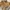 Vintage Fleece Pria Tan Gray