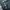 Gorpcore Pria navy photo 5