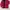 Nike Sportswear Casual Windbreaker Pria red photo 4