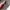 Luxury Minimalist Wanita tan pink photo 5