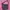 Roxy Streetwear Y2K Bag Pria multicolor navy photo 3