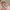 KEROKOO Y2K Sportswear Swimwear Wanita Pink