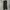 Uniqlo Streetwear Casual Casual Pants Pria Green