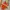Y2K Luxury Swimwear Wanita Orange