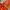 Y2K Luxury Swimwear Wanita orange photo 3