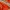 Y2K Luxury Swimwear Wanita Orange