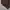 Uniqlo Streetwear Casual Casual pants Pria brown photo 3