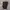 Streetwear Casual Casual pants Pria brown photo 6