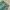 H&M Y2K Sportswear Swimwear Wanita green photo 3