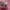 Y2K Bags & purse Wanita multicolor pink photo 3