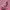 Y2K Bags & purse Wanita multicolor pink photo 2