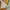 H&M Y2K Sportswear Swimwear Wanita cream photo 4