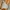 H&M Y2K Sportswear Swimwear Wanita Cream