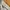 H&M Y2K Sportswear Swimwear Wanita Cream