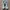 Asics Sportswear Casual Sneakers Pria silver black photo 3