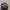Made in USA Indie Cosplay Hat Pria multicolor photo 2