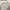 Sportswear Minimalist Sweatshirt Wanita white gray photo 1