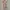 Y2K Sportswear Swimwear Wanita multicolor pink photo 5