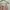 Y2K Sportswear Swimwear Wanita multicolor pink photo 6