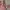 Pull & Bear Y2K Sportswear Swimwear Wanita Pink
