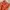 KEROKOO Y2K Sportswear Swimwear Wanita Brown Orange