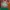 Luxury Evening dress Wanita green red photo 2