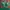 Luxury Evening dress Wanita green red photo 4