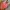 H&M Y2K Sportswear Swimwear Wanita multicolor photo 3