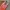 H&M Y2K Sportswear Swimwear Wanita multicolor photo 2