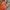 H&M Y2K Sportswear Swimwear Wanita Multicolor