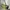 Juicy Couture Y2K Shoulder bag Wanita green photo 5