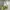 Juicy Couture Y2K Shoulder bag Wanita green photo 4