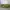 Juicy Couture Y2K Shoulder bag Wanita green photo 3