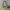 Juicy Couture Y2K Shoulder bag Wanita green photo 2