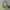 Juicy Couture Y2K Shoulder Bag Wanita Green