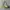Juicy Couture Y2K Shoulder bag Wanita green photo 1
