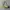 Juicy Couture Y2K Shoulder Bag Wanita Green