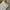 Y2K Sportswear Swimwear Wanita white photo 2