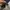 Dickies Streetwear Sweater Pria navy gray photo 2