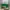 Asics Vintage Streetwear Sneakers Pria green pink photo 1