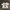 ZARA Streetwear Y2K Crop top Wanita white pink photo 1