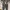 Carhartt Vintage Casual Denim jacket Pria tan brown photo 6