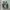 New Balance Casual Sneakers Pria green photo 5