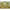 Casual Pakaian Nasional Midi dress Wanita multicolor photo 2