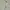 Minimalist Short Wanita white photo 2